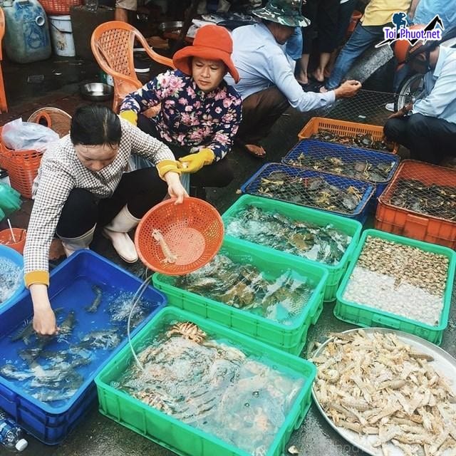 Chất lượng sạch sẽ cung cấp hải sản Rạch Giá Kiên Giang sỉ giá rẻ tốt Các loại cao cấp