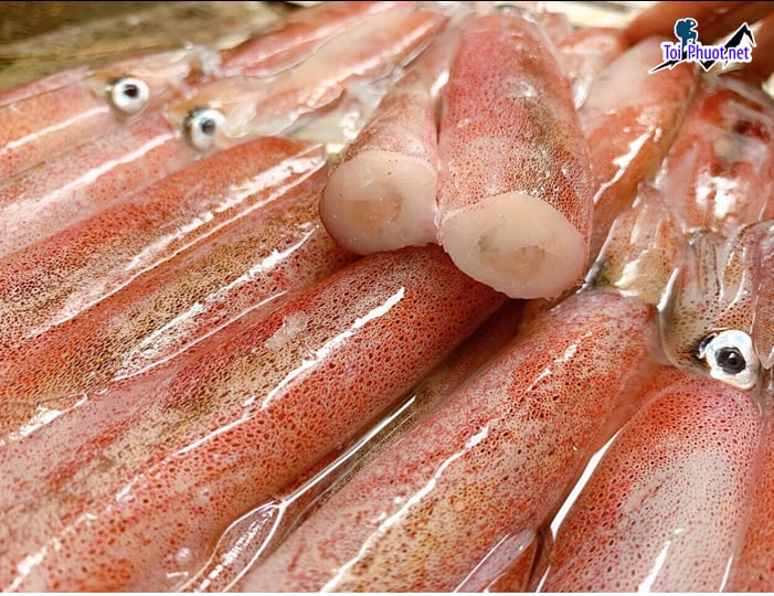 Cung cấp mực Tân An Long An hải sản tươi sống giá sỉ tốt rẻ Nguyên con
