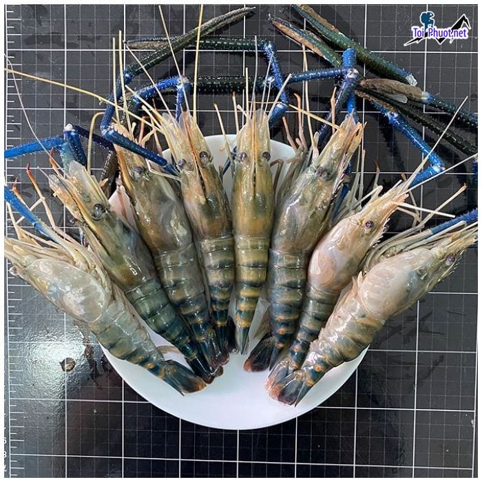 Đặc điểm Cung cấp Tôm Thái Nguyên hải sản tươi sống giá sỉ tốt rẻ ưu đãi