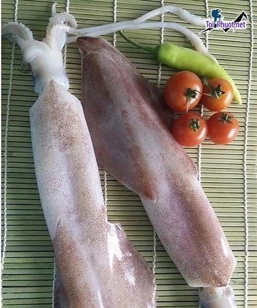 Đặt hàng Cung cấp mực Thái Bình hải sản tươi sống giá sỉ tốt rẻ nhanh chóng