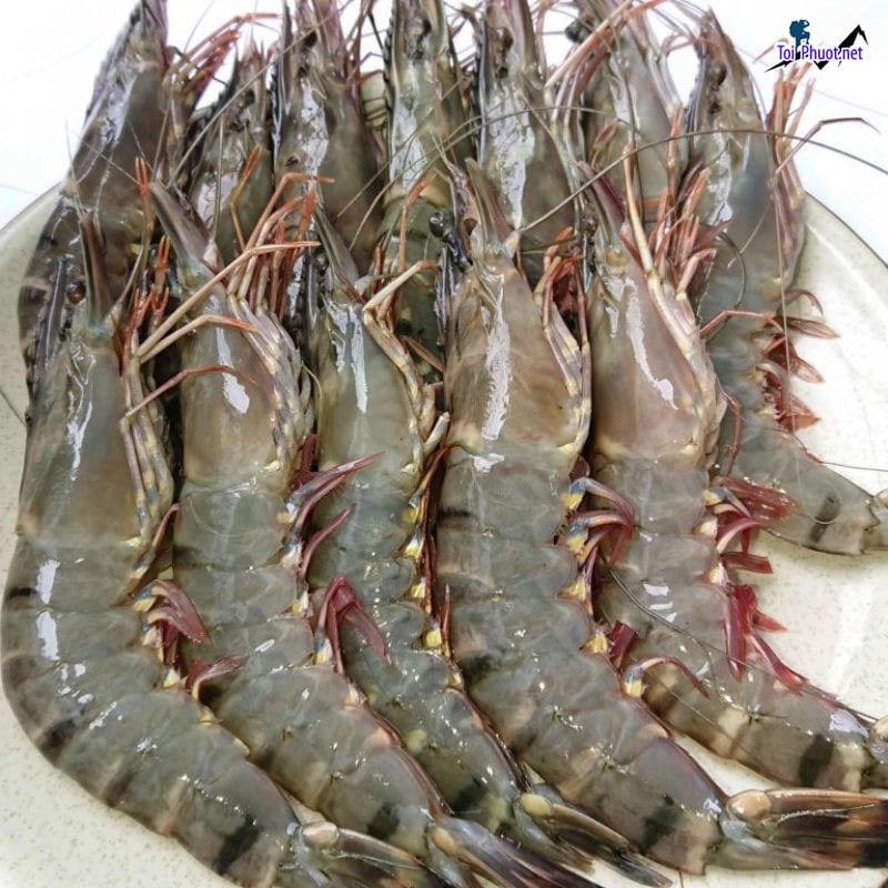Dinh dưỡng Cung cấp Tôm Sóc Trăng hải sản tươi sống giá sỉ tốt rẻ uy tín nhất