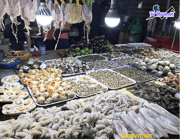 Đơn vị địa chỉ cung cấp hải sản Vĩnh Yên Vĩnh Phúc sỉ giá rẻ tốt