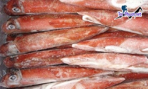 Giá thành Cung cấp mực Ninh Bình hải sản tươi sống giá sỉ tốt rẻ