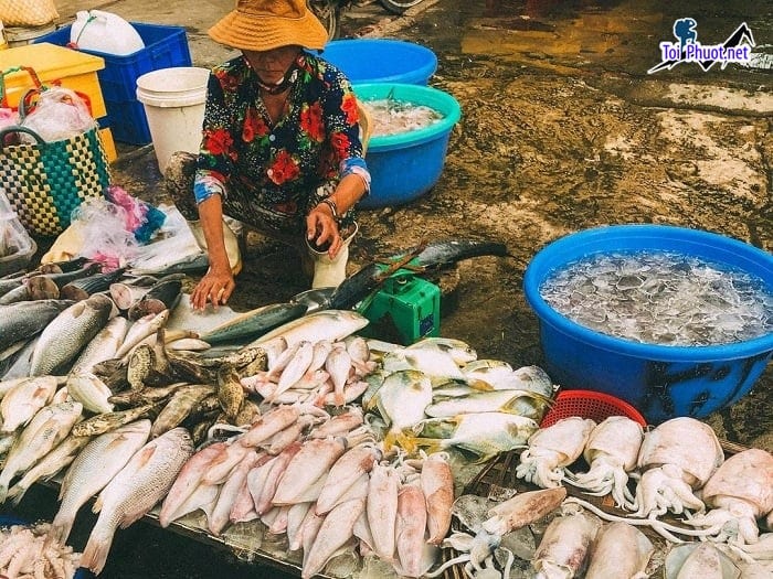 Giao hàng tận nơi cung cấp hải sản Tân An Long An sỉ giá rẻ tốt thực phẩm tươi