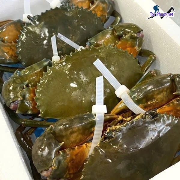 Giới thiệu với bạn địa chỉ cung cấp hải sản Yên Bái sỉ giá rẻ tốt chất lượng