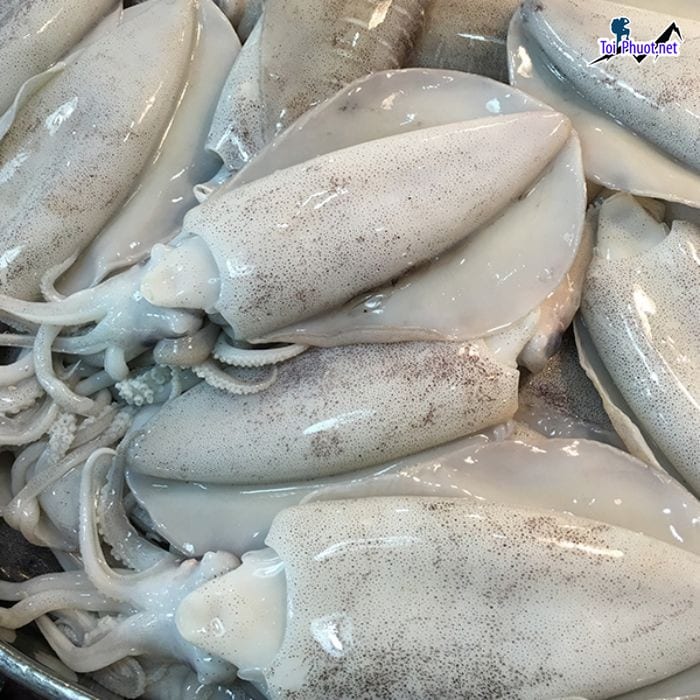 Hải sản Cung cấp mực Đồng Hới Quảng Bình hải sản tươi sống giá sỉ tốt rẻ