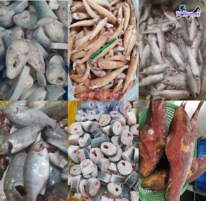 Hải sản đông lạnh cung cấp hải sản sỉ Lạng Sơn giá rẻ tốt đảm bảo độ tươi ngon