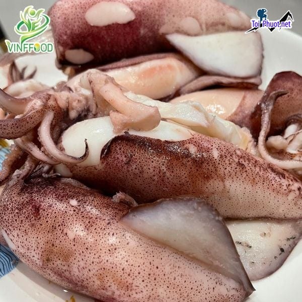 Hải sản sống Cung cấp mực Thái Nguyên hải sản tươi sống giá sỉ tốt rẻ