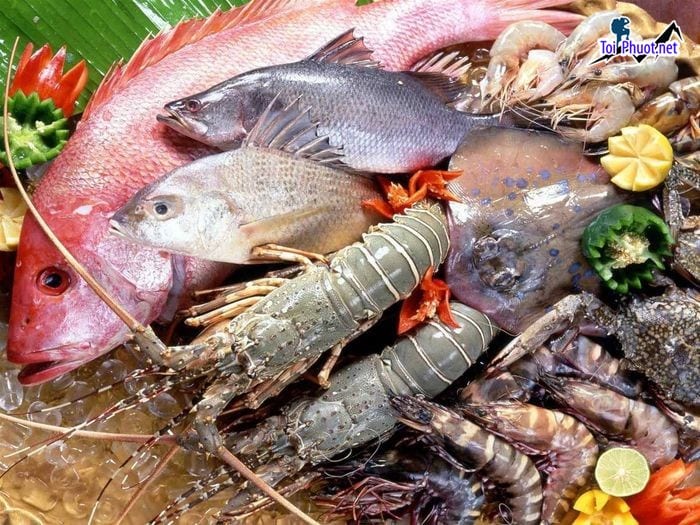 Hải sản tươi sống cung cấp hải sản Sơn La sỉ giá rẻ tốt cao cấp