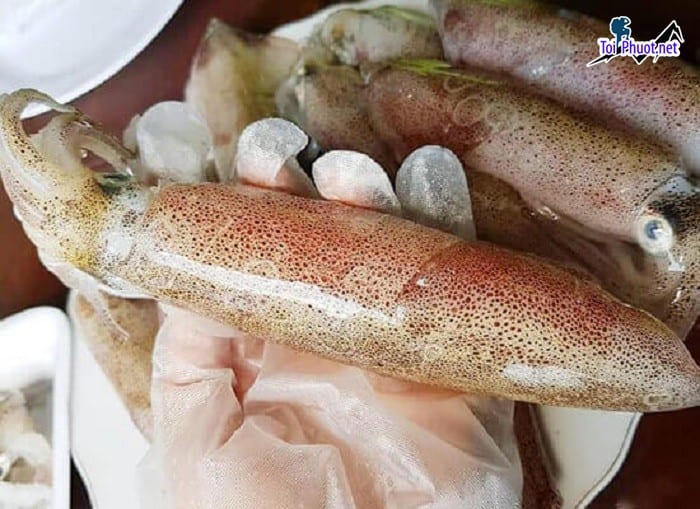 Hệ thống Cung cấp mực Sơn La hải sản tươi sống giá sỉ tốt rẻ chất lượng