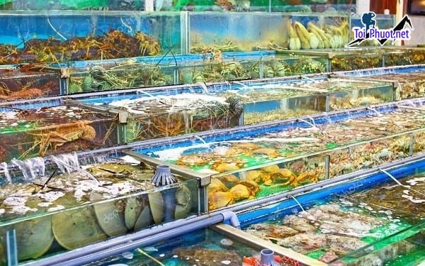 Hệ thống phân phối cung cấp hải sản Kon Tum sỉ giá rẻ tốt sạch sẽ an toàn