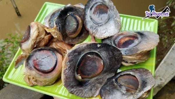 Mắt cá tươi Cung cấp cá ngừ đại dương Tân An Long An hải sản tươi sống giá sỉ tốt rẻ cực ngon
