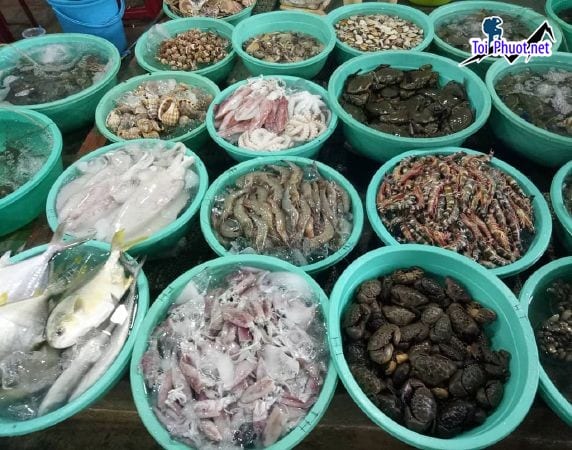 Nhập khẩu cung cấp hải sản Ninh Bình sỉ giá rẻ tốt chất lượng đa dạng