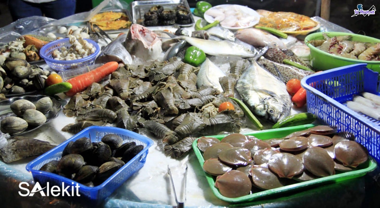 Phân phối cung cấp hải sản Hưng Yên sỉ giá rẻ tốt còn tươi khi đến tay khách hàng