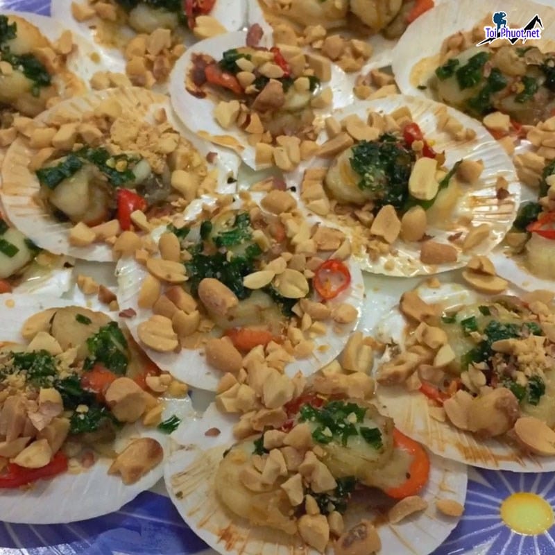 Sò điệp nhật nướng Cung cấp mua bán Sò điệp nướng giá rẻ tốt sỉ làm hài lòng thực khách