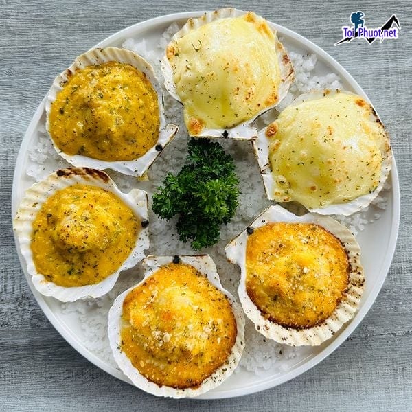 Sò điệp to con Cung cấp mua bán Sò điệp nướng bơ giá rẻ tốt sỉ nhanh chóng