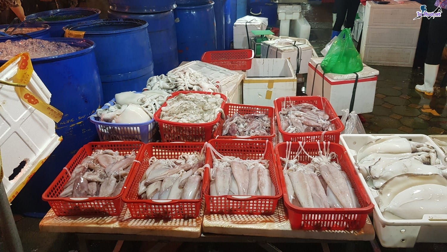 Thực phẩm hải sản tươi sống cung cấp hải sản Nha Trang Khánh Hòa sỉ giá rẻ tốt