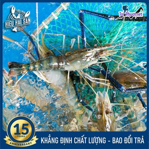 Tôm tươi sống Cung cấp Tôm Sơn La hải sản tươi sống giá sỉ tốt rẻ cực ngon