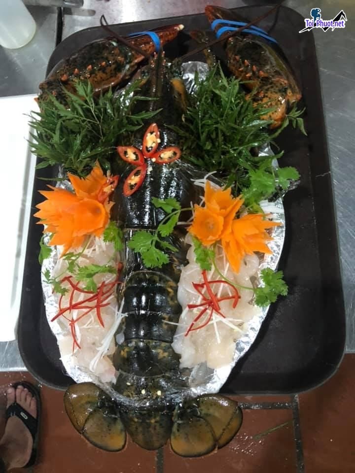 Top 11 địa điểm Cung cấp tôm hùm hải sản Vinh Nghệ An tươi sống giá sỉ tốt rẻ
