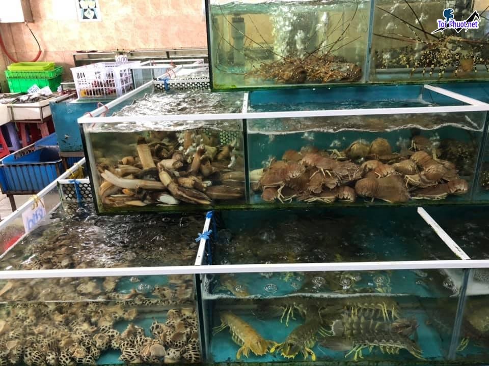 Top 5 địa chỉ cung cấp hải sản Đồng Hới Quảng Bình sỉ giá rẻ tốt hàng đầu (2)