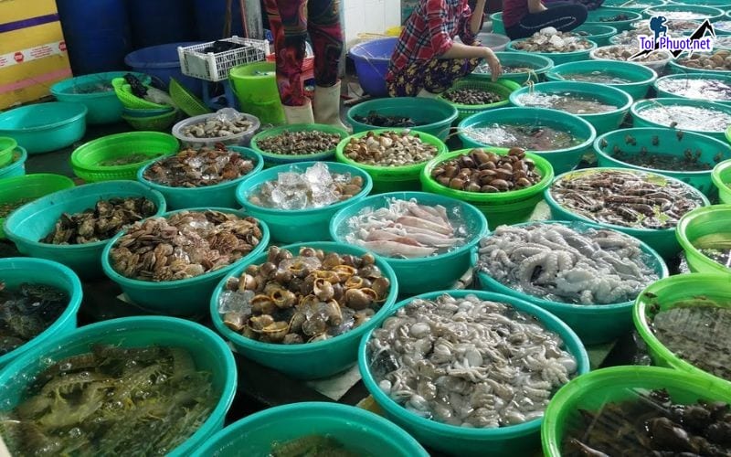 Vựa hải sản Tam Kỳ cung cấp hải sản Tam Kỳ Quảng Nam sỉ giá rẻ tốt sạch sẽ