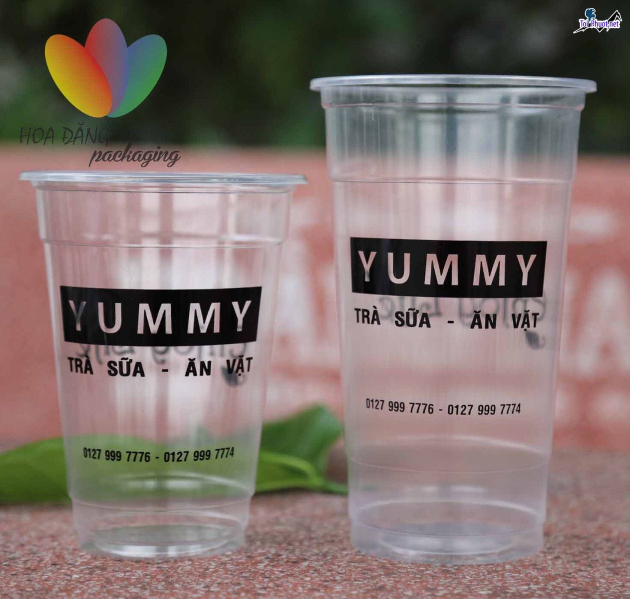 Top 11 công ty sản xuất ly nhựa uy tín và chất lượng nhất ở Tây Ninh cam kết chất lượng