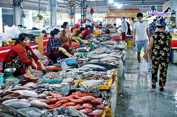 Top 10 Địa chỉ bán hải sản tươi sống chất lượng nhất Đắk Lắk được đánh giá cao