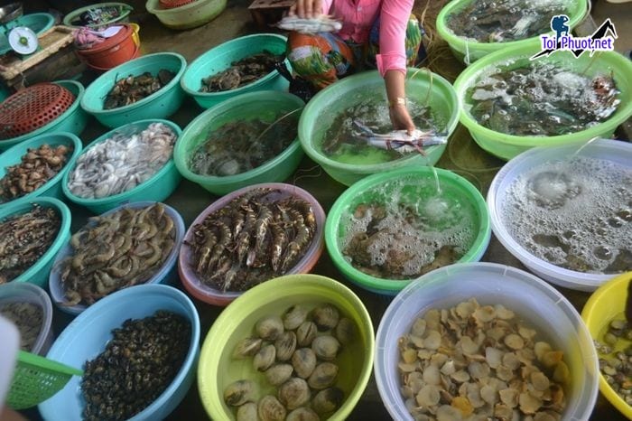 Top 5 Địa chỉ bán hải sản tươi sống chất lượng nhất Đà Nẵng rẻ như cho