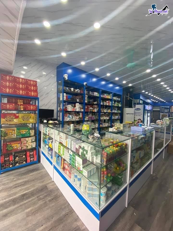 Top 6 Cửa hàng bán thuốc tây giá tốt và uy tín nhất Hải Phòng nổi bật tại đây