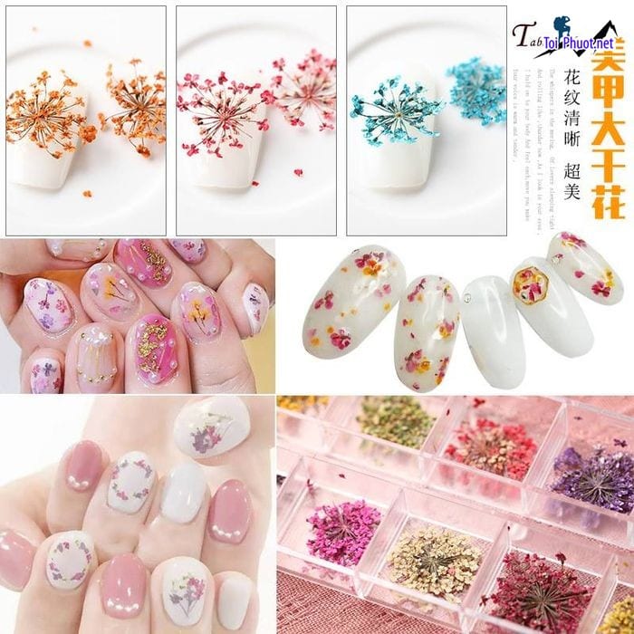 Top 7 Cửa hàng bán phụ kiện nail uy tín và chất lượng nhất Điện Biên bền bỉ