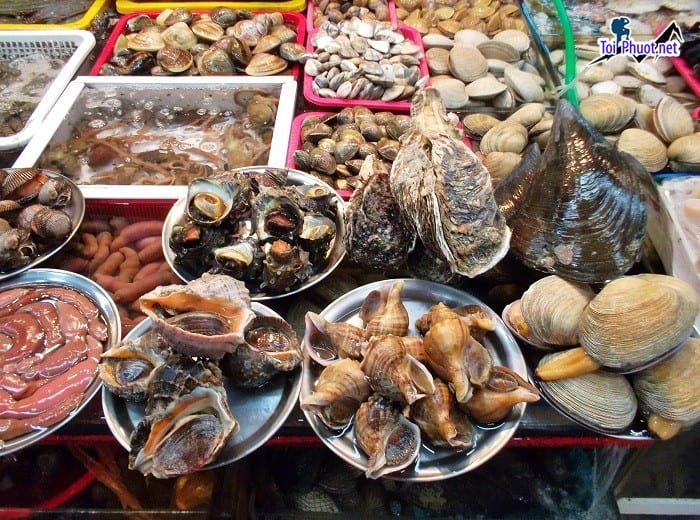 Top 7 Địa chỉ bán hải sản tươi sống chất lượng nhất Đồng Nai chất lượng cao với mức giá hợp lý (3)