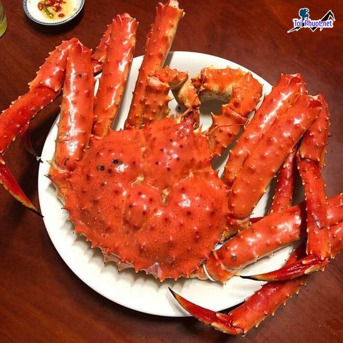 Top 8 Địa chỉ bán hải sản tươi sống chất lượng nhất Thừa Thiên – Huế cua hoàng đế sang trọng
