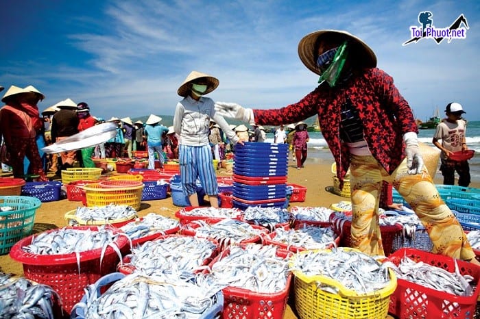 Top 9 Địa chỉ bán hải sản tươi sống chất lượng nhất Cần Thơ đặt lợi ích của khách hàng lên hàng đầu