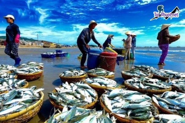 Top Địa chỉ bán hải sản tươi sống chất lượng nhất Bắc Ninh đảm bảo độ tươi ngon