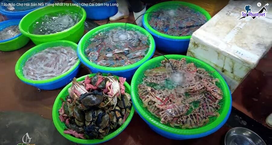 Top Địa chỉ bán hải sản tươi sống chất lượng nhất Gia Lai thoải mái lựa chọn