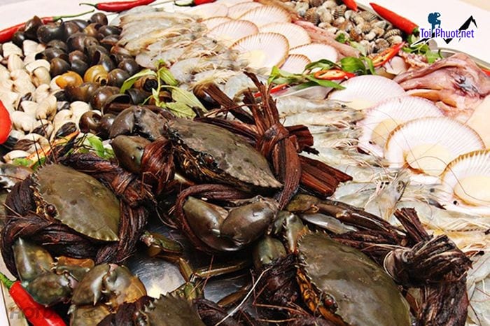 Top Địa chỉ bán hải sản tươi sống chất lượng nhất Hà Tĩnh uy tín hàng đầu