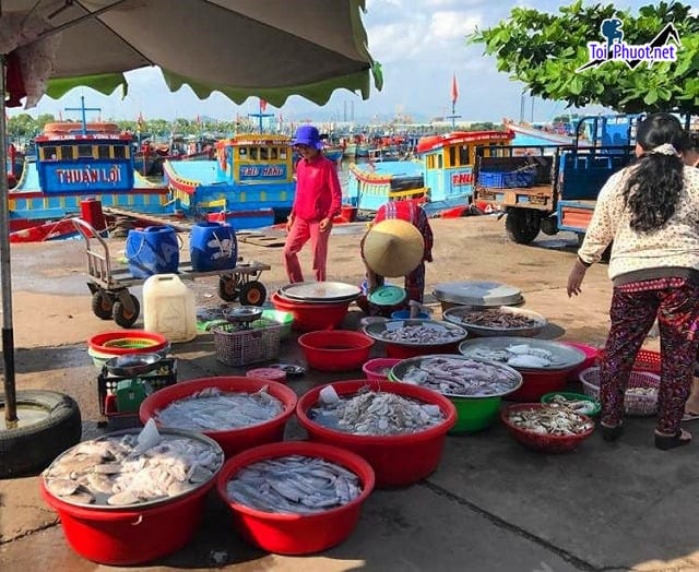 Top Địa chỉ bán hải sản tươi sống chất lượng nhất Ninh Bình chất lượng cao