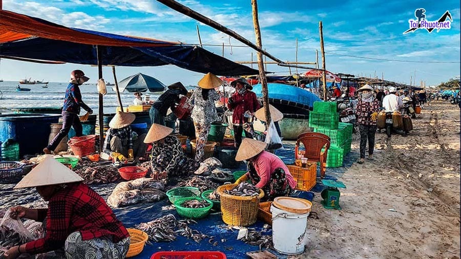 Top Địa chỉ bán hải sản tươi sống chất lượng nhất Quảng Ngãi đa dạng mặt hàng