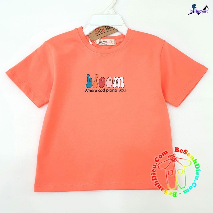 Kho lấy sỉ quần áo vải thun Thái Lan Cà Mau lạnh giá rẻ chất lượng tiêu chuẩn chất lượng (2)