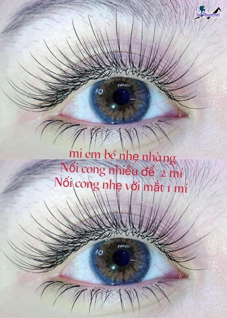 Top 10 Địa chỉ nối mi đẹp tự nhiên uy tín nhất Hải Phòng để sở hữu đôi mắt quyến rũ (4)