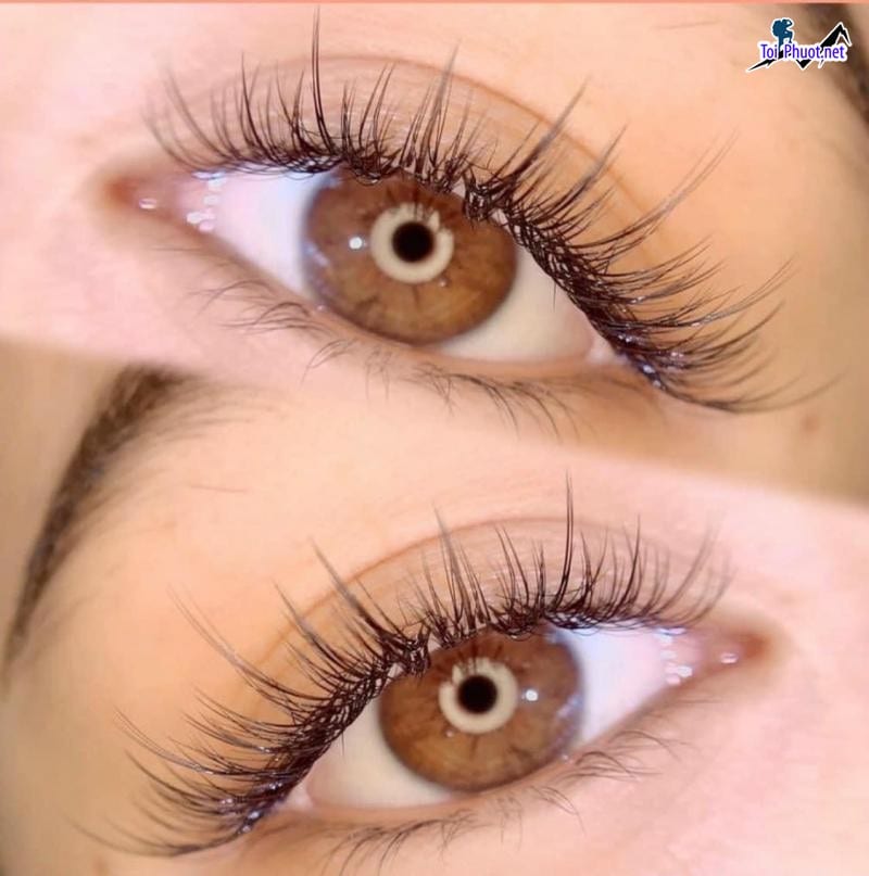 Top 11 Địa chỉ nối mi đẹp tự nhiên uy tín nhất Rạch Giá Kiên Giang kiểu mi nối trendy (1)