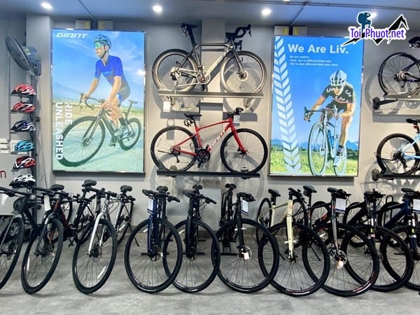 Top 4 Cửa hàng bán xe đạp thể thao uy tín nhất Hạ Long Quảng Ninh đẹp nổi tiếng