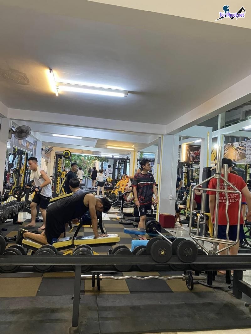 Top 9 Phòng tập gym uy tín và chất lượng nhất Tam Kỳ Quảng Nam máy móc hiện đại