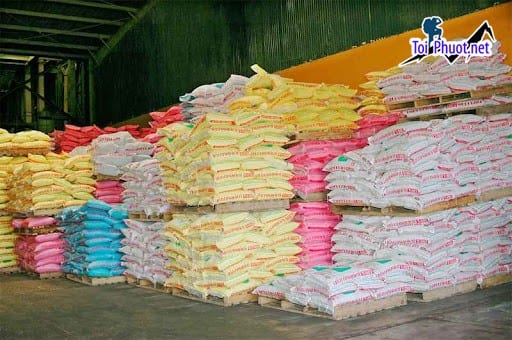 Top 10 bán thức ăn gia súc gia cầm Biên Hòa Đồng Nai cho nhu cầu chăn nuôi của bạn
