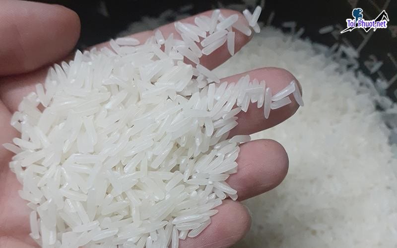 Top 10 cửa hàng gạo gần đây chất lượng Cao Lãnh Đồng Tháp cực an toàn (4)