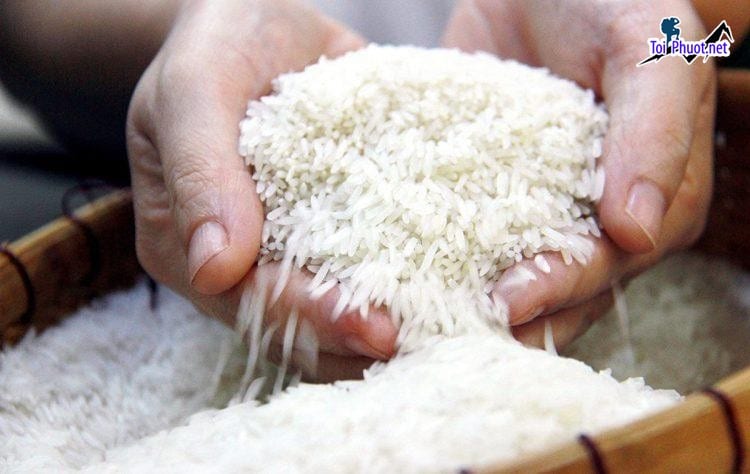 Top 10 cửa hàng gạo gần đây chất lượng Long Xuyên An Giang phục vụ thị trường nội địa và xuất khẩu
