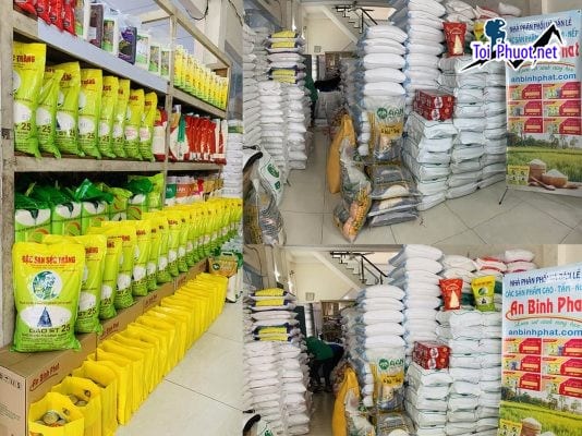 Top 2 cửa hàng gạo gần đây chất lượng Kon Tum giá tốt nhất