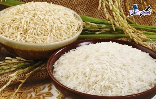 Top 2 cửa hàng gạo gần đây chất lượng Yên Bái uy tín hàng đầu