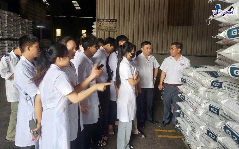 Top 3 bán thức ăn gia súc gia cầm Bắc Ninh nổi tiếng và phổ biến nhất