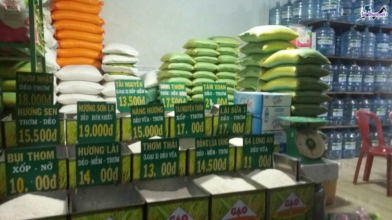 Top 3 cửa hàng gạo gần đây chất lượng Thái Bình từ bình dân đến cao cấp
